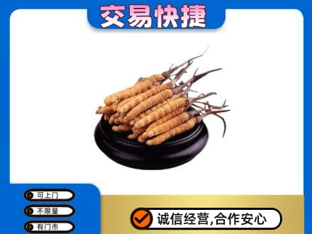 钦州礼品回收散虫草.jpg